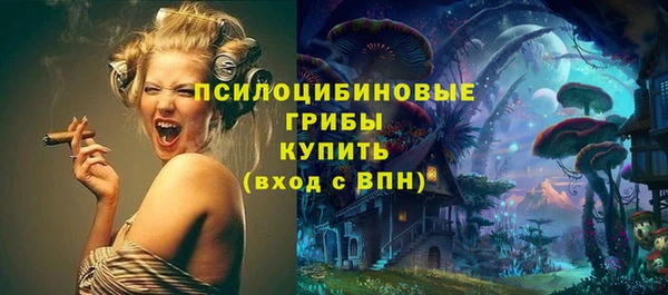 mix Арсеньев