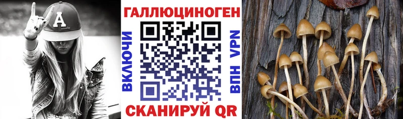 Псилоцибиновые грибы прущие грибы Строитель